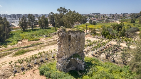 הקיר הגדול 2.jpg
