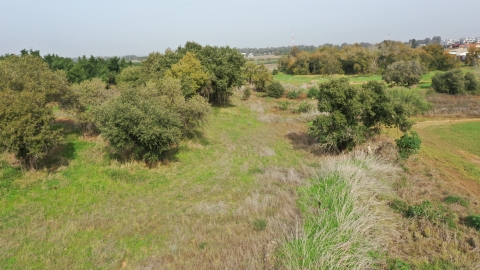 DJI_0538.JPG