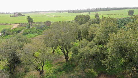 DJI_0554.JPG