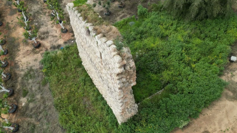 ‏‏לכידה.PNG