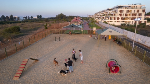 גינת כלבים.jpg
