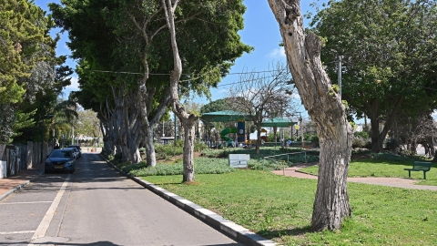 כפר יונה כיום (1).JPG