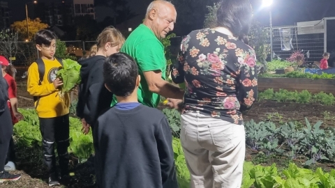 גינה קהילתית אלונים (3).jpg