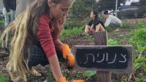 גינה קהילתית אלונים (1).jpg